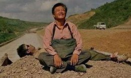 落叶归根电影在线观看,寻根之旅，情感共鸣的影像之旅