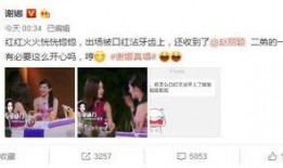 爆料一姐微博鸭子视频,引发网友热议